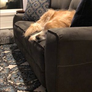 Meet your Posher, Mary